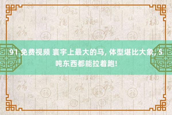 91 免费视频 寰宇上最大的马， 体型堪比大象， 5吨东西都能拉着跑!