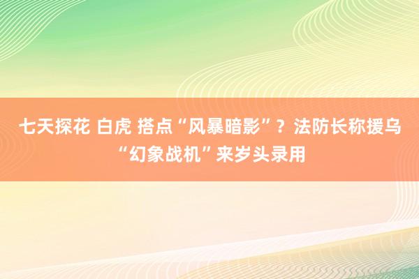 七天探花 白虎 搭点“风暴暗影”？法防长称援乌“幻象战机”来岁头录用