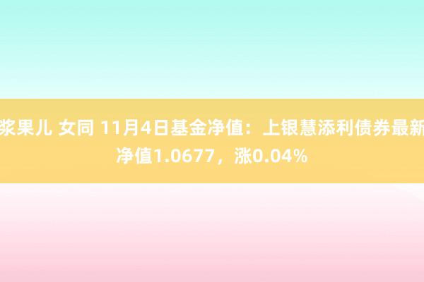 浆果儿 女同 11月4日基金净值：上银慧添利债券最新净值1.0677，涨0.04%