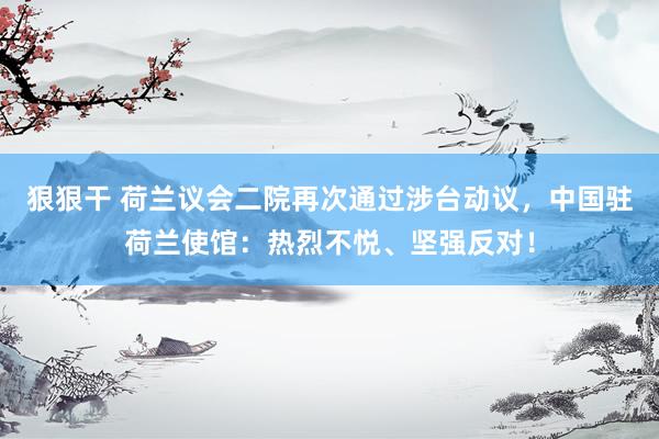 狠狠干 荷兰议会二院再次通过涉台动议，中国驻荷兰使馆：热烈不悦、坚强反对！