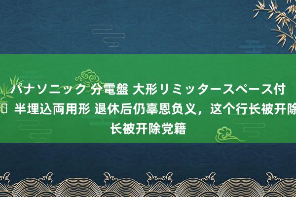 パナソニック 分電盤 大形リミッタースペース付 露出・半埋込両用形 退休后仍辜恩负义，这个行长被开除党籍