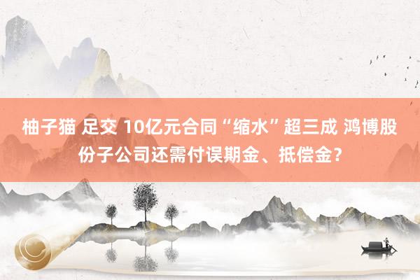 柚子猫 足交 10亿元合同“缩水”超三成 鸿博股份子公司还需付误期金、抵偿金？