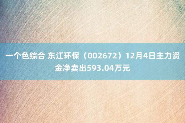 一个色综合 东江环保（002672）12月4日主力资金净卖出593.04万元