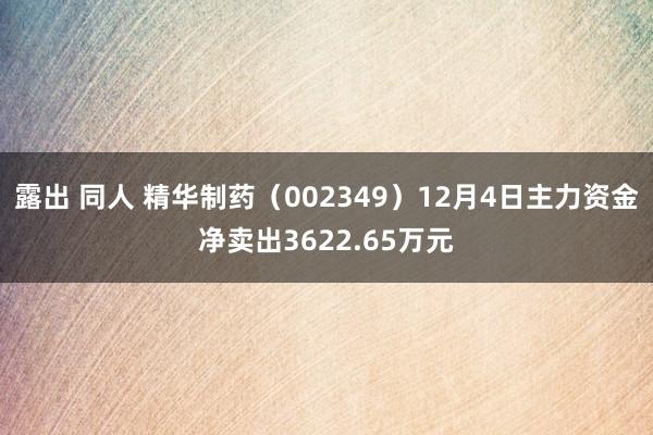 露出 同人 精华制药（002349）12月4日主力资金净卖出3622.65万元