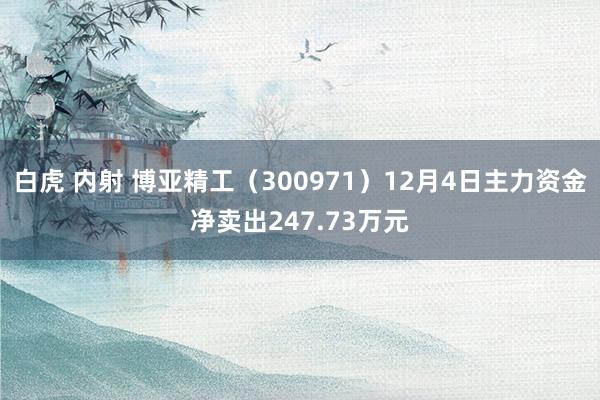 白虎 内射 博亚精工（300971）12月4日主力资金净卖出247.73万元