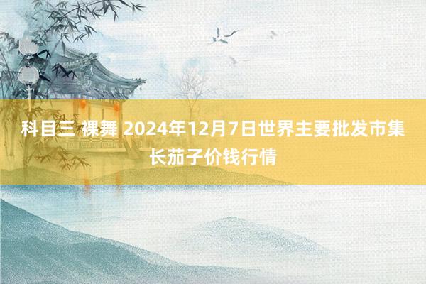 科目三 裸舞 2024年12月7日世界主要批发市集长茄子价钱行情