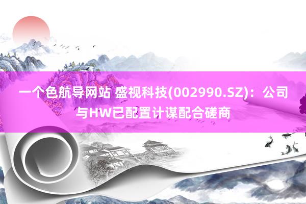一个色航导网站 盛视科技(002990.SZ)：公司与HW已配置计谋配合磋商