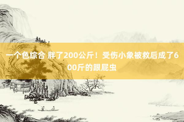 一个色综合 胖了200公斤！受伤小象被救后成了600斤的跟屁虫