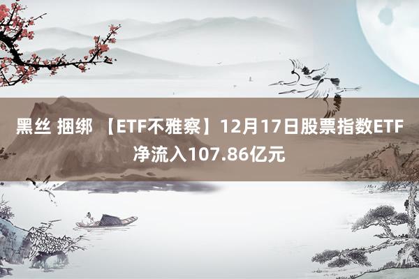 黑丝 捆绑 【ETF不雅察】12月17日股票指数ETF净流入107.86亿元