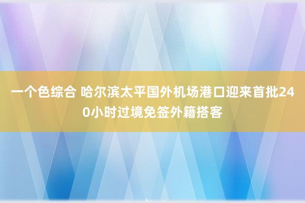 一个色综合 哈尔滨太平国外机场港口迎来首批240小时过境免签外籍搭客