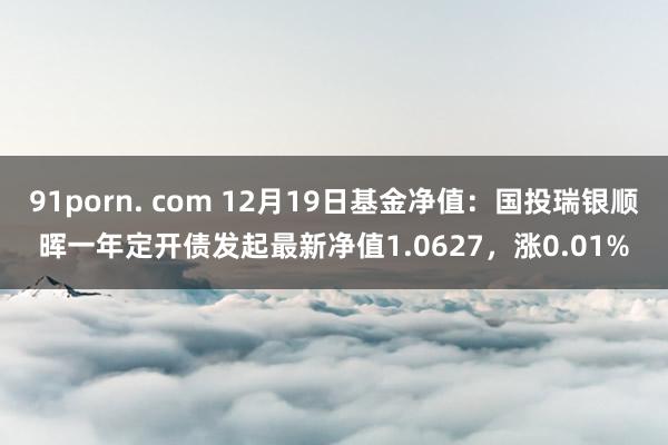 91porn. com 12月19日基金净值：国投瑞银顺晖一年定开债发起最新净值1.0627，涨0.01%