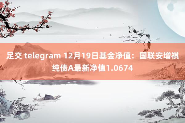 足交 telegram 12月19日基金净值：国联安增祺纯债A最新净值1.0674