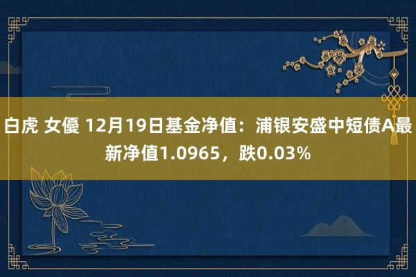 白虎 女優 12月19日基金净值：浦银安盛中短债A最新净值1.0965，跌0.03%