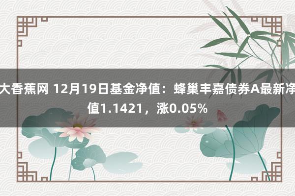 大香蕉网 12月19日基金净值：蜂巢丰嘉债券A最新净值1.1421，涨0.05%
