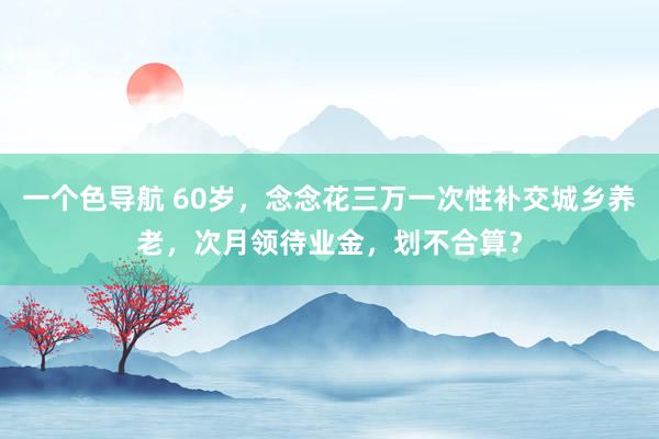 一个色导航 60岁，念念花三万一次性补交城乡养老，次月领待业金，划不合算？