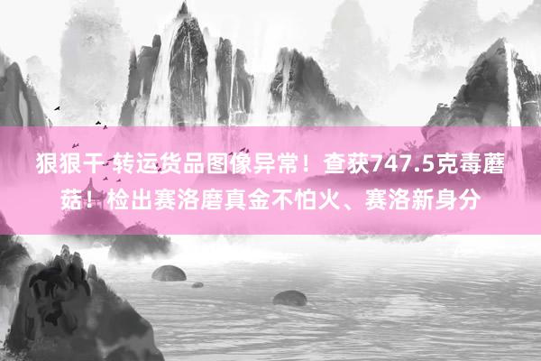 狠狠干 转运货品图像异常！查获747.5克毒蘑菇！检出赛洛磨真金不怕火、赛洛新身分