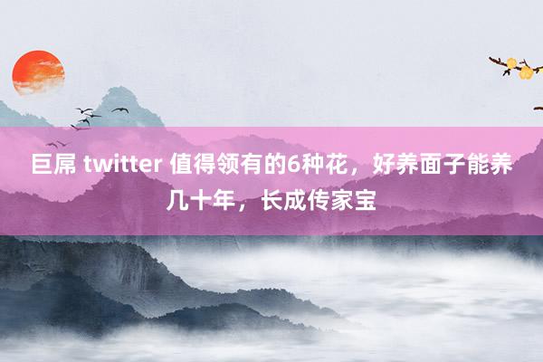 巨屌 twitter 值得领有的6种花，好养面子能养几十年，长成传家宝
