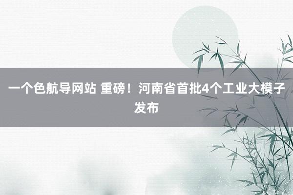 一个色航导网站 重磅！河南省首批4个工业大模子发布