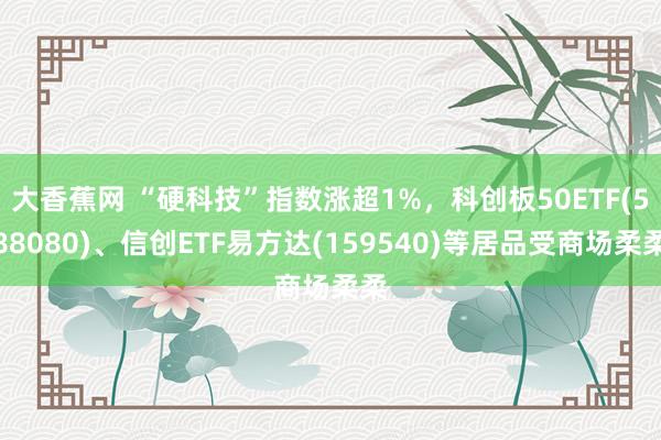 大香蕉网 “硬科技”指数涨超1%，科创板50ETF(588080)、信创ETF易方达(159540)等居品受商场柔柔