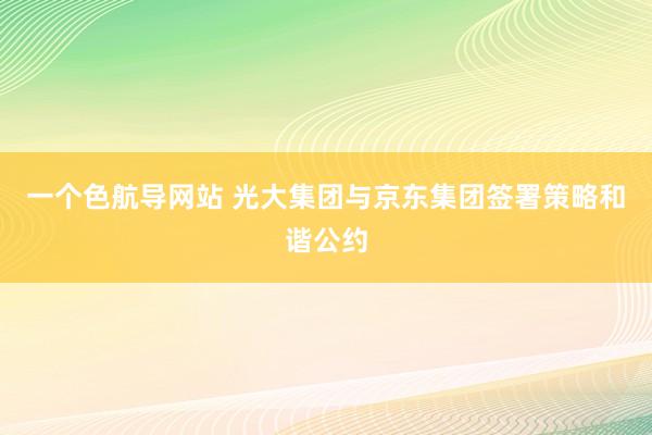 一个色航导网站 光大集团与京东集团签署策略和谐公约