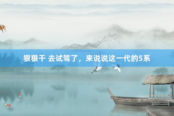 狠狠干 去试驾了，来说说这一代的5系