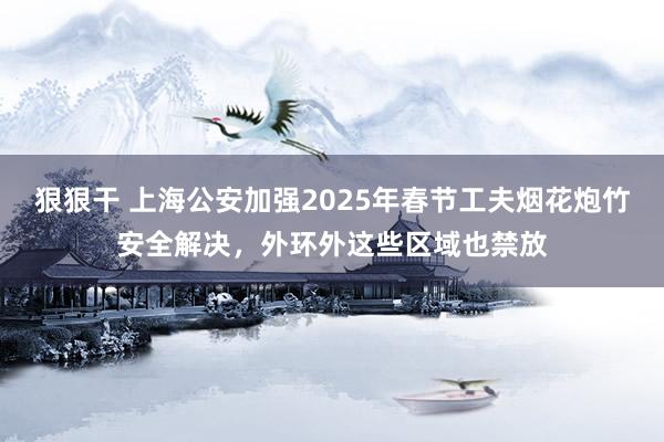 狠狠干 上海公安加强2025年春节工夫烟花炮竹安全解决，外环外这些区域也禁放