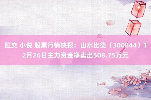 肛交 小说 股票行情快报：山水比德（300844）12月26日主力资金净卖出508.75万元