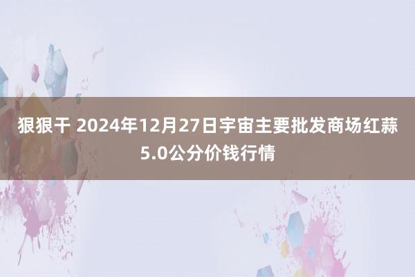 狠狠干 2024年12月27日宇宙主要批发商场红蒜5.0公分价钱行情
