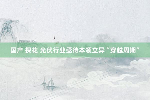 国产 探花 光伏行业亟待本领立异“穿越周期”