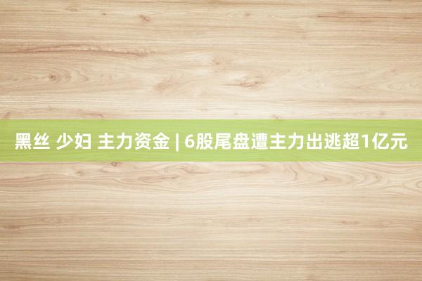 黑丝 少妇 主力资金 | 6股尾盘遭主力出逃超1亿元