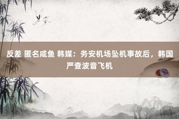反差 匿名咸鱼 韩媒：务安机场坠机事故后，韩国严查波音飞机