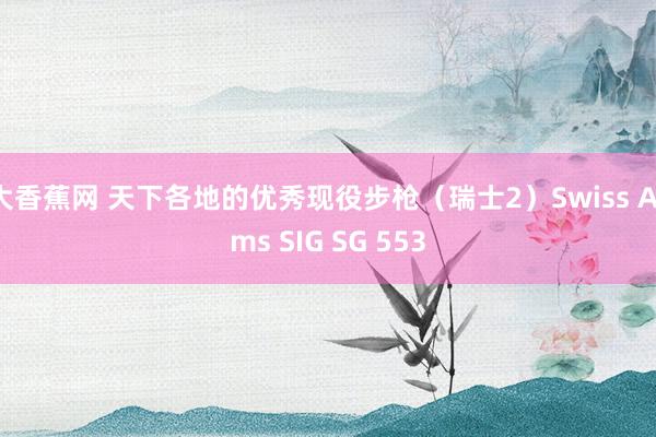 大香蕉网 天下各地的优秀现役步枪（瑞士2）Swiss Arms SIG SG 553