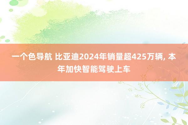 一个色导航 比亚迪2024年销量超425万辆， 本年加快智能驾驶上车