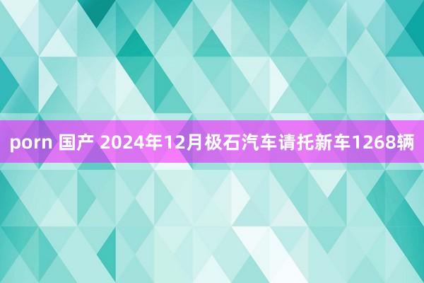 porn 国产 2024年12月极石汽车请托新车1268辆