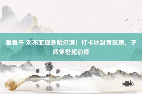 狠狠干 刘亦菲现身哈尔滨！打卡冰封黄玫瑰，孑然穿搭超前锋