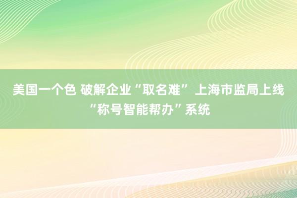美国一个色 破解企业“取名难” 上海市监局上线“称号智能帮办”系统
