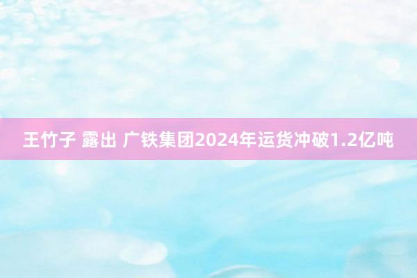 王竹子 露出 广铁集团2024年运货冲破1.2亿吨