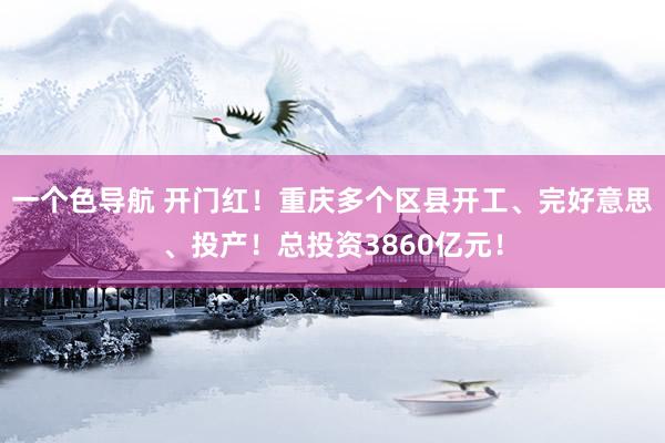 一个色导航 开门红！重庆多个区县开工、完好意思、投产！总投资3860亿元！