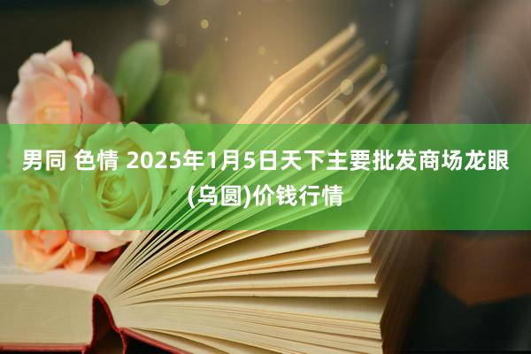 男同 色情 2025年1月5日天下主要批发商场龙眼(乌圆)价钱行情