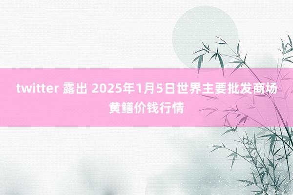twitter 露出 2025年1月5日世界主要批发商场黄鳝价钱行情