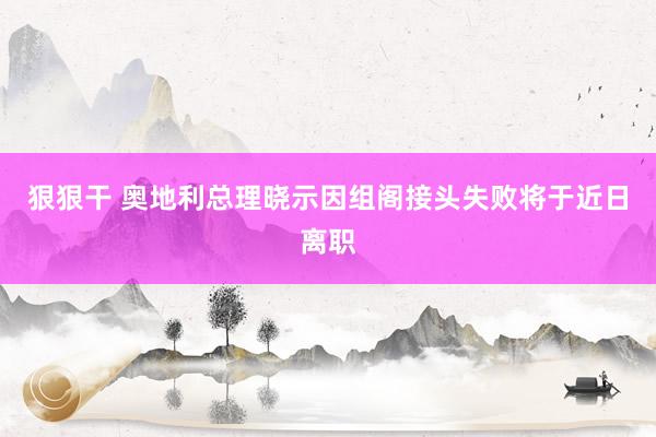 狠狠干 奥地利总理晓示因组阁接头失败将于近日离职