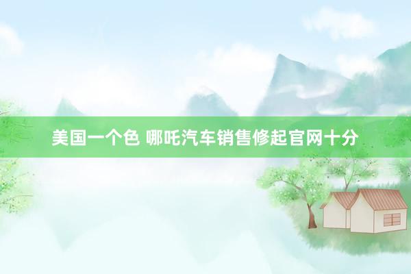 美国一个色 哪吒汽车销售修起官网十分