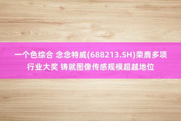一个色综合 念念特威(688213.SH)荣膺多项行业大奖 铸就图像传感规模超越地位