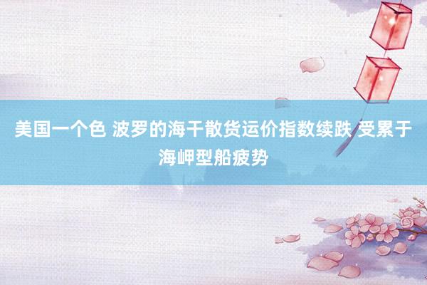 美国一个色 波罗的海干散货运价指数续跌 受累于海岬型船疲势