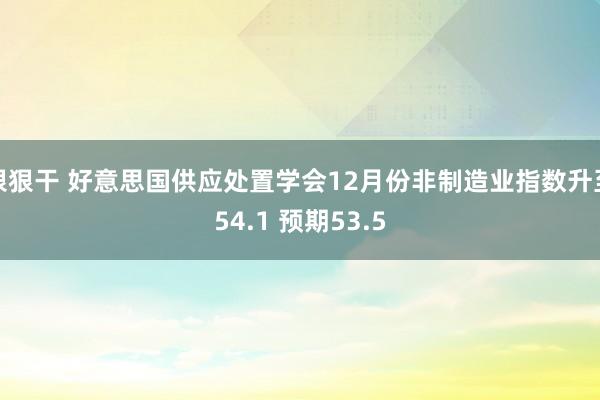 狠狠干 好意思国供应处置学会12月份非制造业指数升至54.1 预期53.5