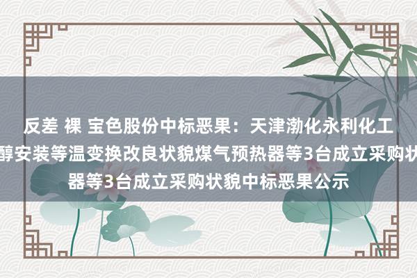 反差 裸 宝色股份中标恶果：天津渤化永利化工股份有限公司甲醇安装等温变换改良状貌煤气预热器等3台成立采购状貌中标恶果公示