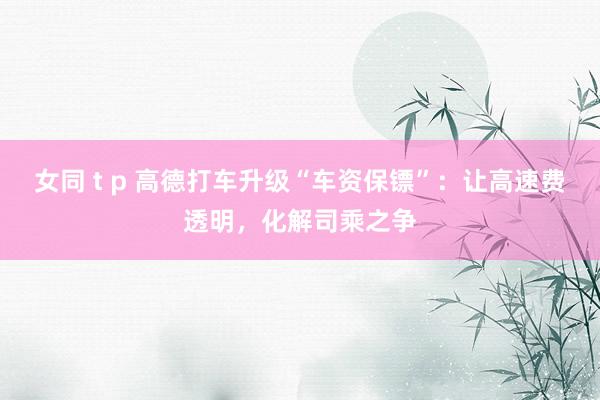 女同 t p 高德打车升级“车资保镖”：让高速费透明，化解司乘之争
