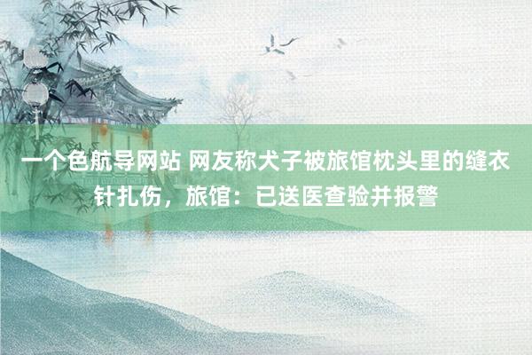 一个色航导网站 网友称犬子被旅馆枕头里的缝衣针扎伤，旅馆：已送医查验并报警