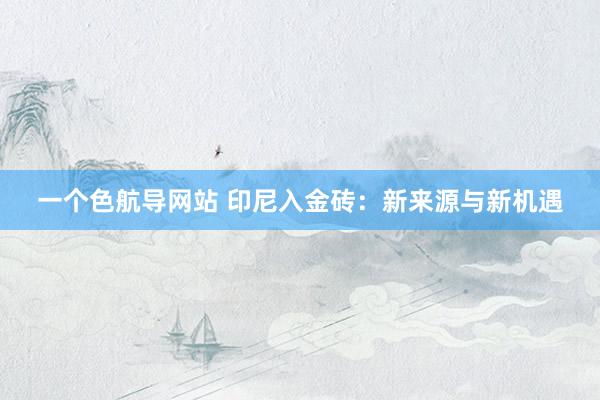 一个色航导网站 印尼入金砖：新来源与新机遇