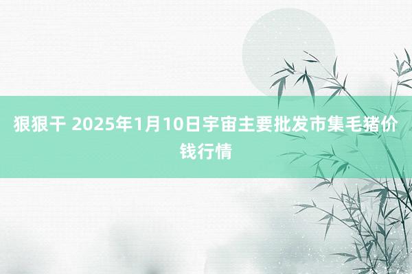 狠狠干 2025年1月10日宇宙主要批发市集毛猪价钱行情
